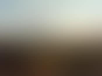 South American landscape (preview)
