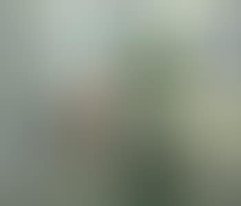 View from a window (preview)