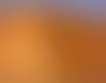 Landscape (preview)