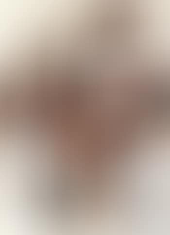Nr 12/63 (preview)