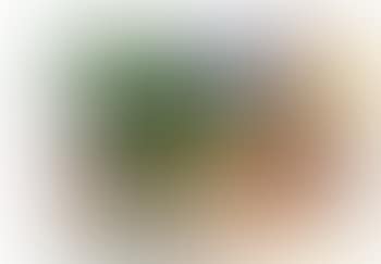 Study for still life with blonde (preview)