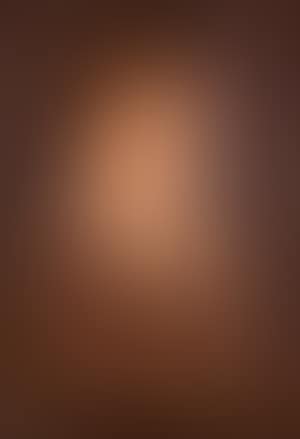 Portrait of Mrs J R Wilmer (preview)