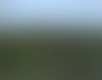 North Otago landscape (preview)