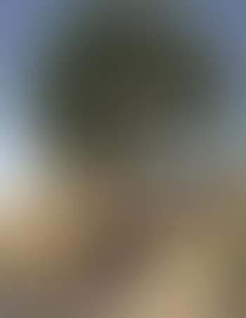 Paysage provencal (preview)