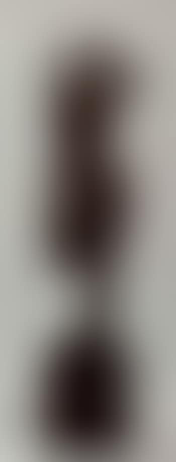 Torse de femme (preview)