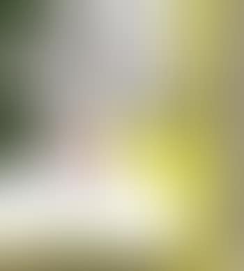 Still life with envelope (preview)