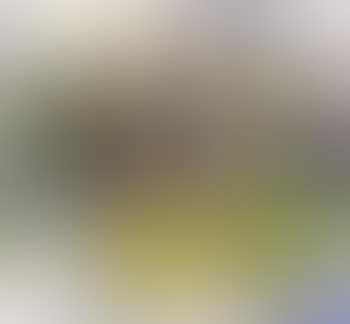 Two lamp posts (preview)
