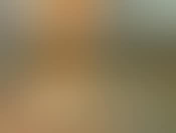 Atelier (preview)