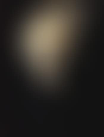 Self-portrait with fright wig (preview)