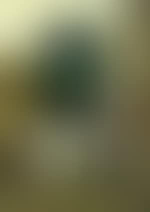 Oriental women by town gate (preview)