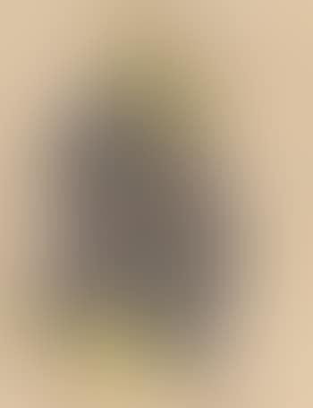 Woman in a tunic, study for the ballet Liturgy (preview)
