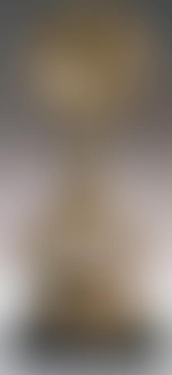 Torse de femme (preview)