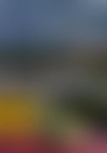 Landscape (preview)