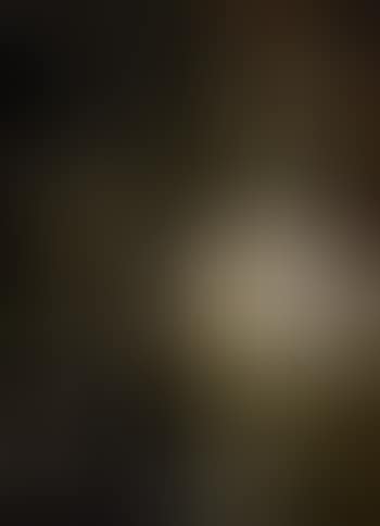 Briey (preview)