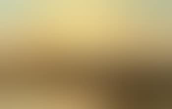 Duck flighting at dusk (preview)