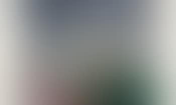Paysage en Hollande (preview)