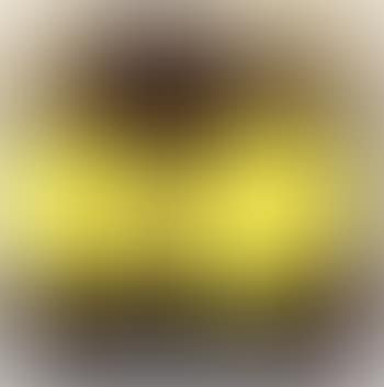 Four lemons (preview)