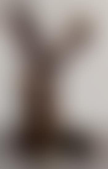 Abstract (preview)