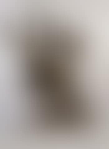 Figures (preview)