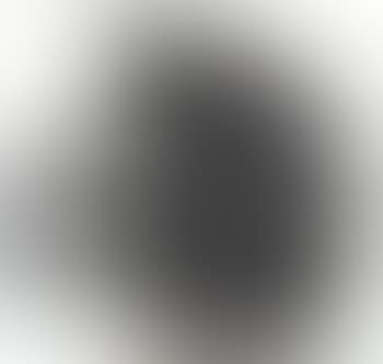 Abstract (preview)