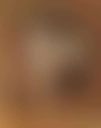 Female nude in boudoir (preview)