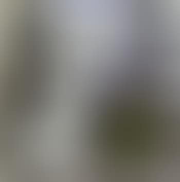 Still life (preview)