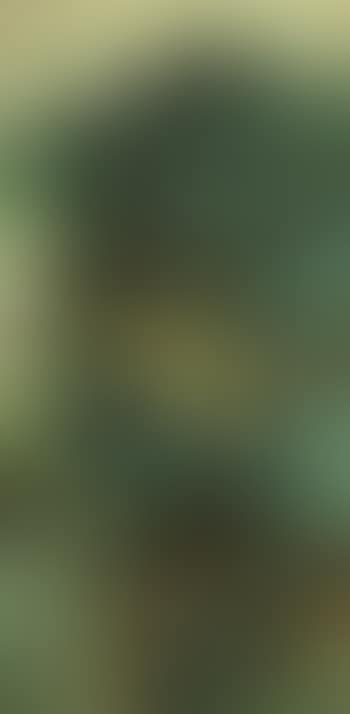 Luxuriant pines (preview)