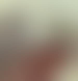 Pelargonium and birds (preview)