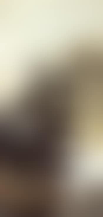 Landscape (preview)