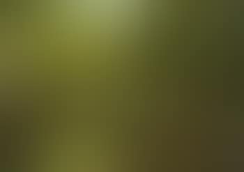 Quiet backwater, a summer landscape (preview)