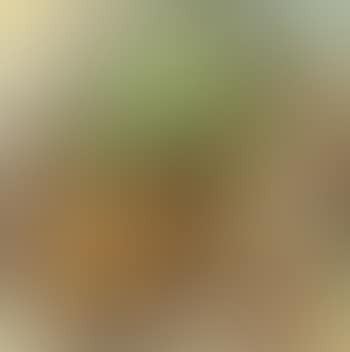 Fruit basket (preview)
