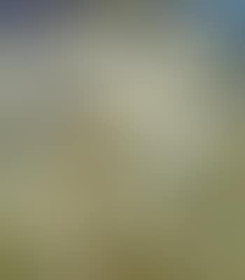 Moven (preview)