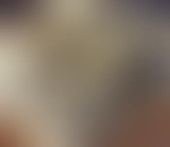 A cat's dream (preview)