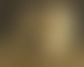 Pedro, portrait of a poodle (preview)