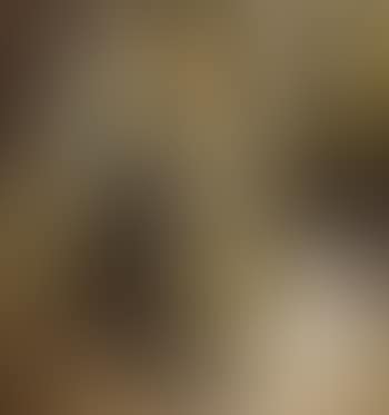 Seated sitar player (preview)