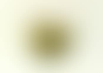 Three pears (preview)