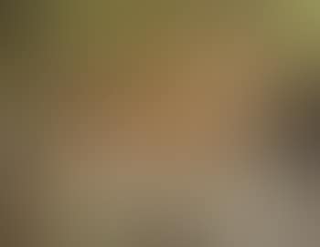 Female nude (preview)