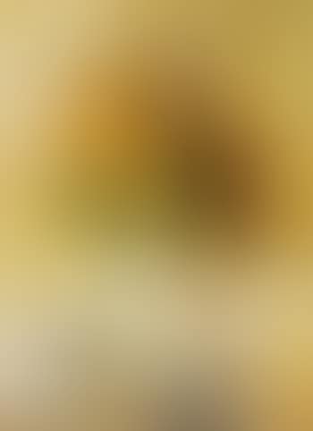 Still life of flowers (preview)