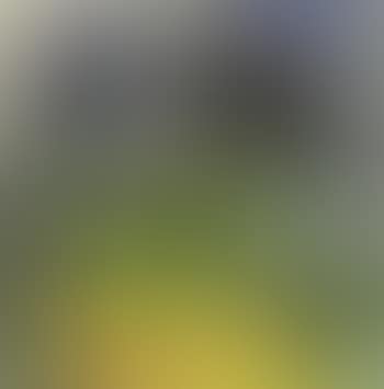 Landscape (preview)