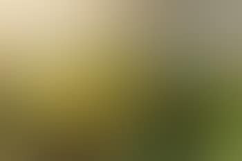 Composition (preview)