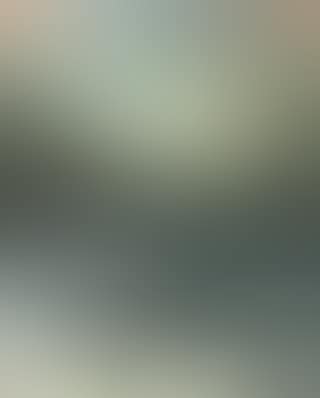 Seascape (preview)