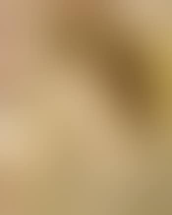Jeune femme a l tapisserie (preview)