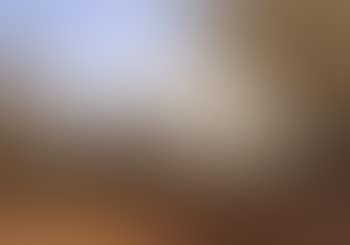 View above Rushcutters Bay, near Sydney (preview)
