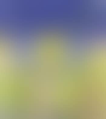 Soleil (preview)