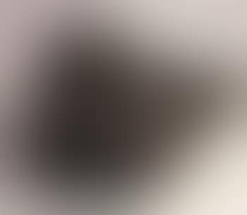 Water buffalo (preview)