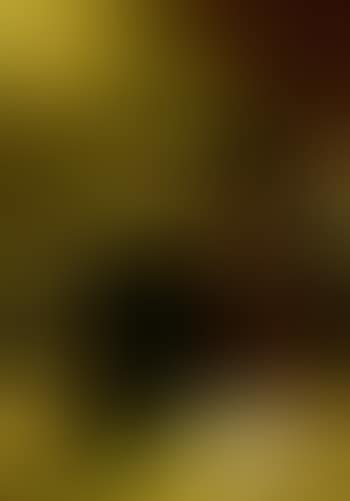 Saint Augustine in Ecstasy (preview)