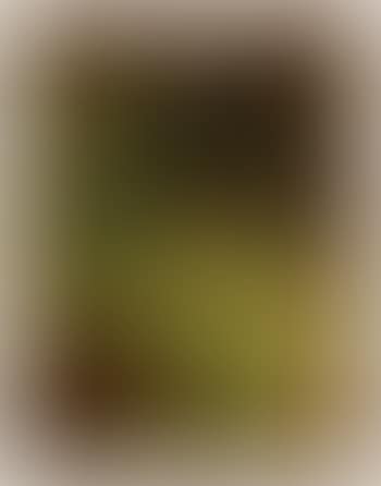 Gopsmor, landscape (preview)
