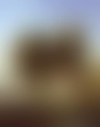 At the Temple of Sweet Waters, Constantinople (preview)