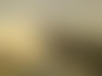 Paysage d'hiver (preview)