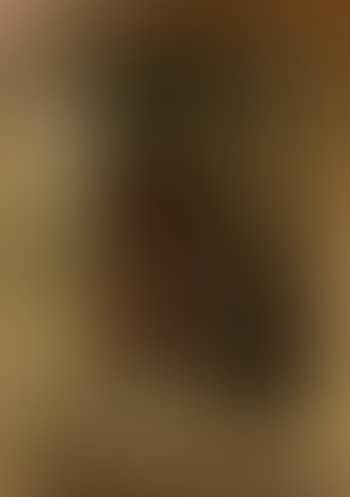 Portrait of Sir Charles Gould (preview)